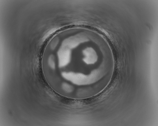 X0000115601263200911101358