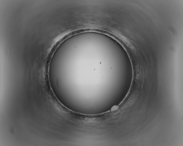 X0000115601264200911101358