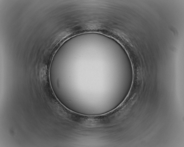 X0000115601265200911101358