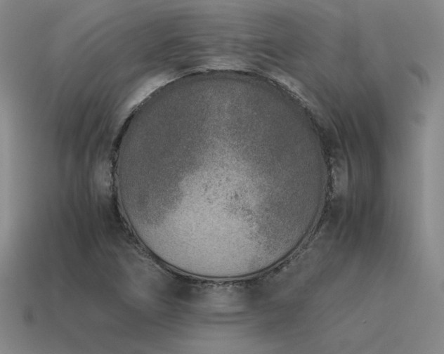 X0000115601266200911101358