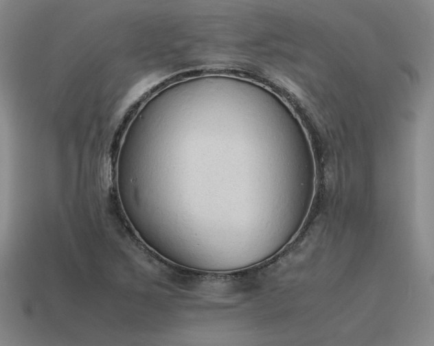 X0000115601267200911101358