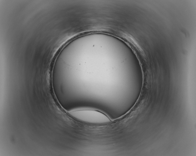 X0000115601268200911101358