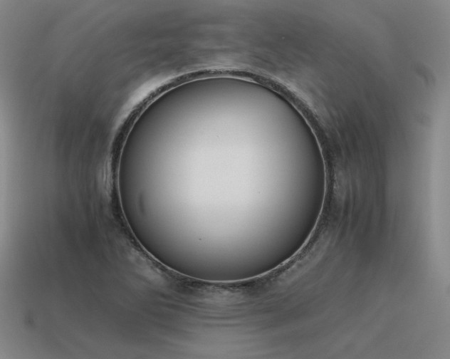 X0000115601270200911101358