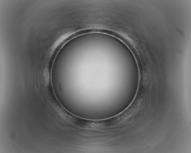 X0000115601271200911101358
