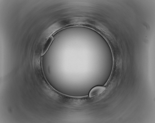 X0000115601273200911101358