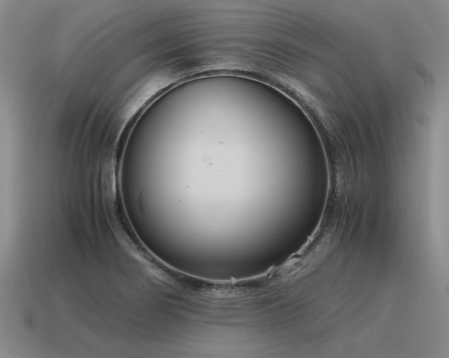 X0000115601274200911101358
