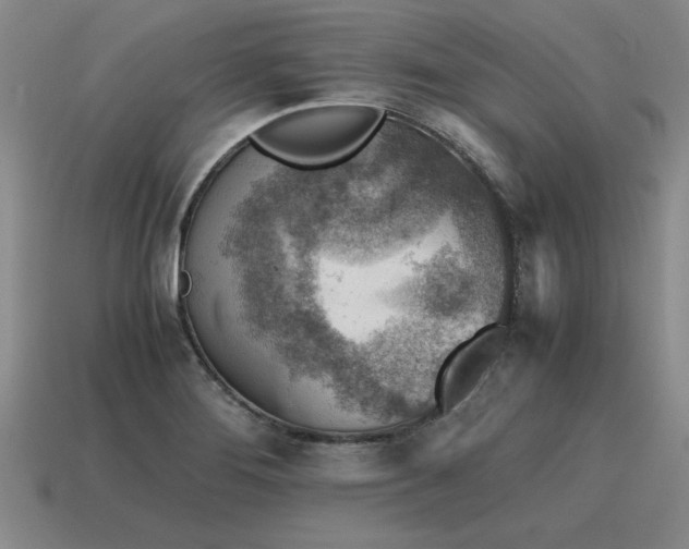 X0000115601276200911101358