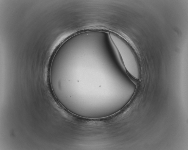 X0000115601277200911101358