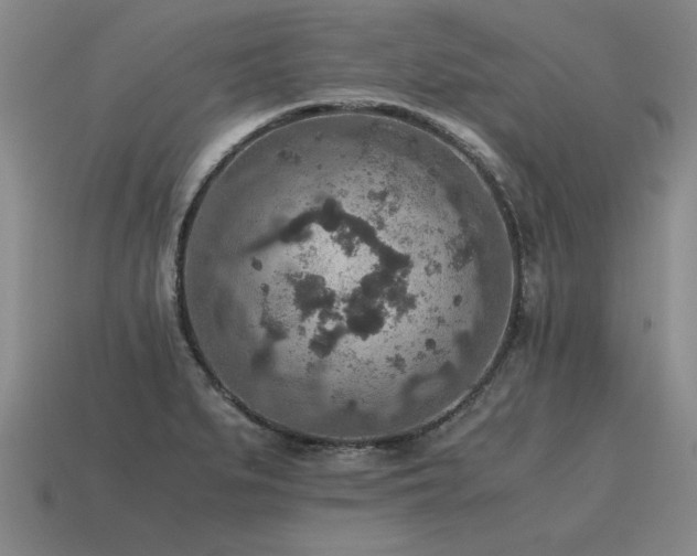 X0000115601279200911101358