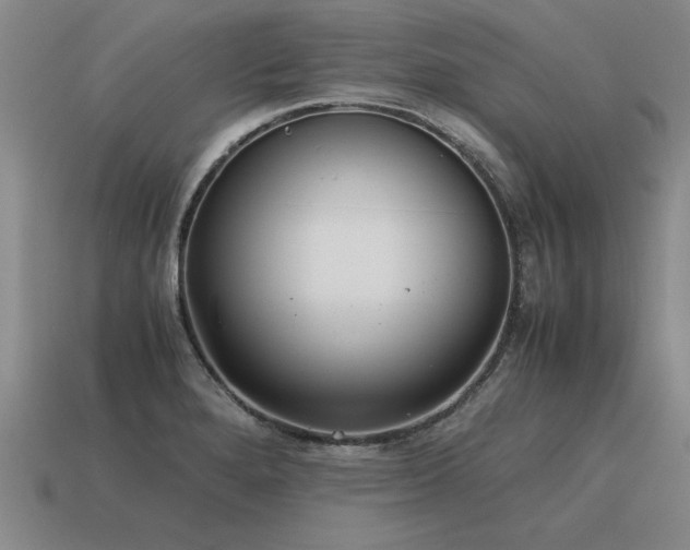 X0000115601280200911101358