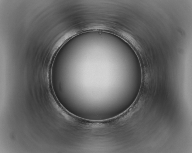 X0000115601282200911101358