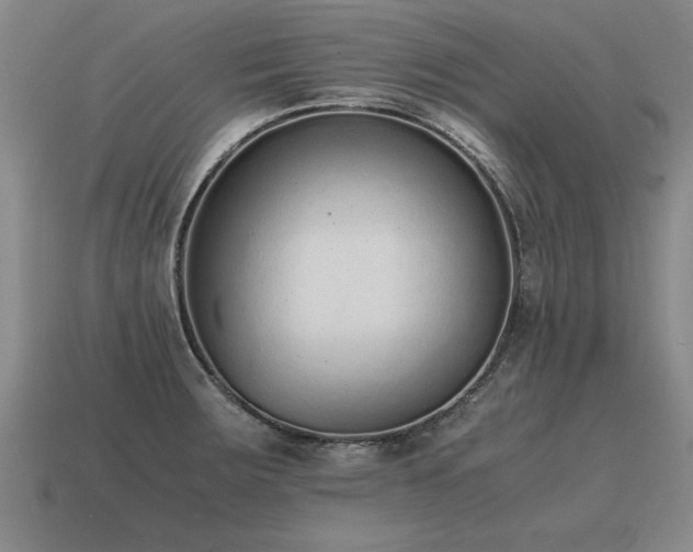 X0000115601283200911101358