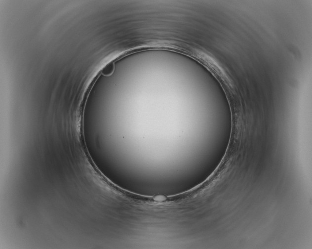 X0000115601284200911101358