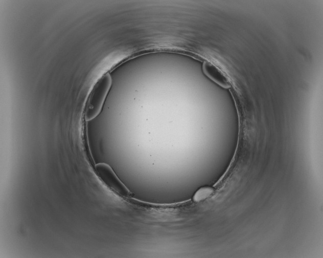 X0000115601285200911101358