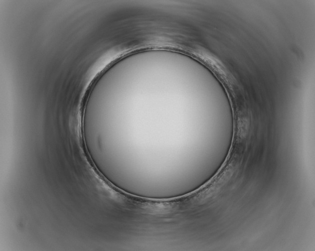 X0000115601286200911101358