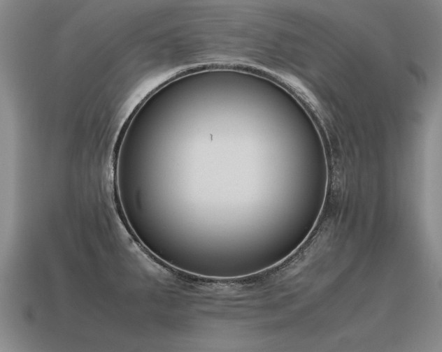 X0000115601287200911101358