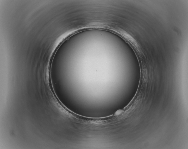 X0000115601288200911101358