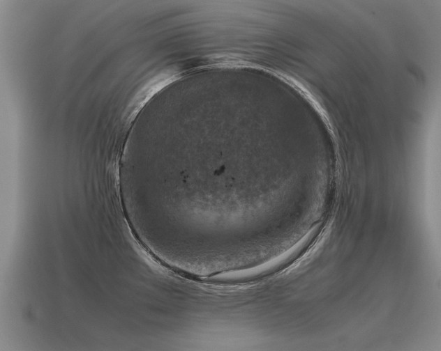 X0000115601289200911101358