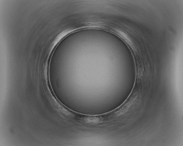 X0000115601291200911101357