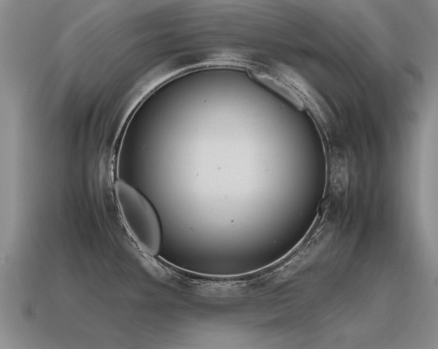 X0000115601292200911101357