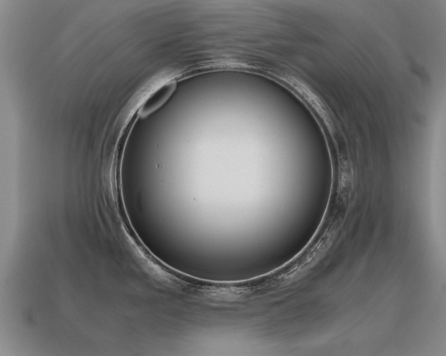 X0000115601293200911101357