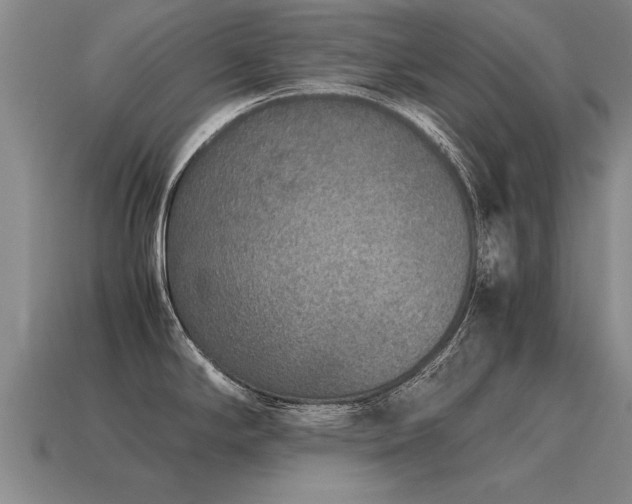 X0000115601294200911101357