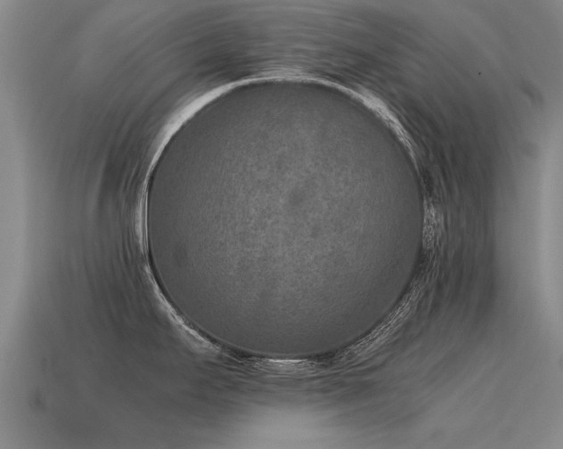 X0000115601295200911101357