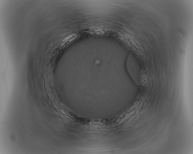 X0000115601297200911101357