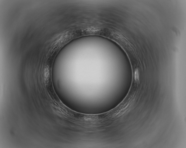 X0000115601299200911101357