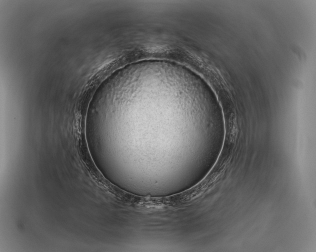 X0000115601301200911101357
