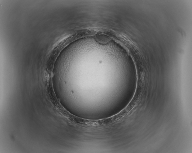 X0000115601302200911101357