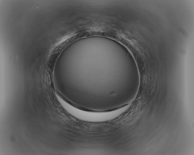 X0000115601303200911101357