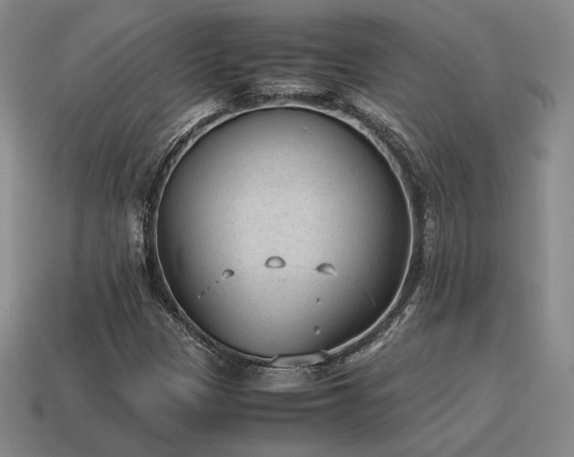 X0000115601305200911101357