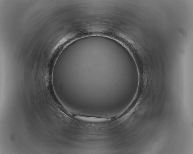 X0000115601306200911101357