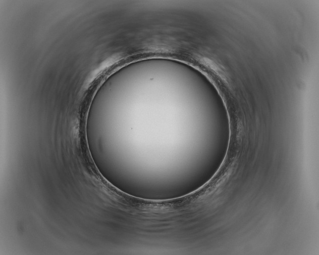 X0000115601307200911101357
