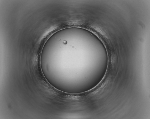X0000115601309200911101357