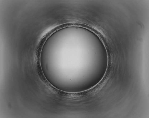 X0000115601311200911101357