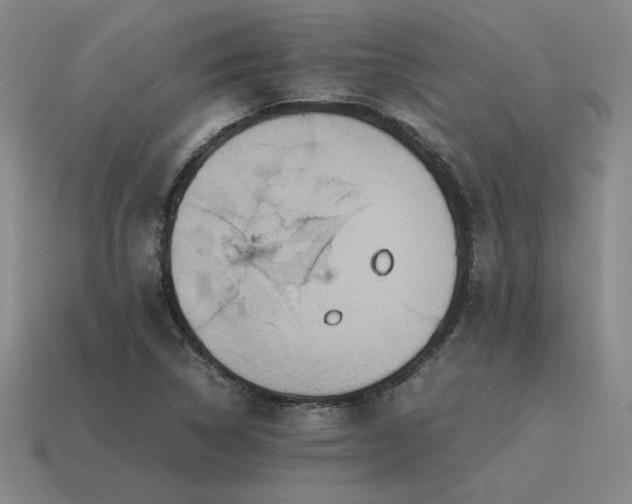 X0000115601314200911101357
