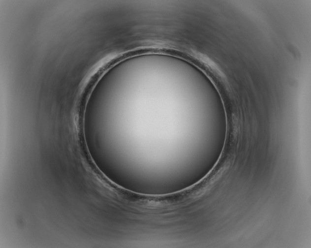 X0000115601318200911101357
