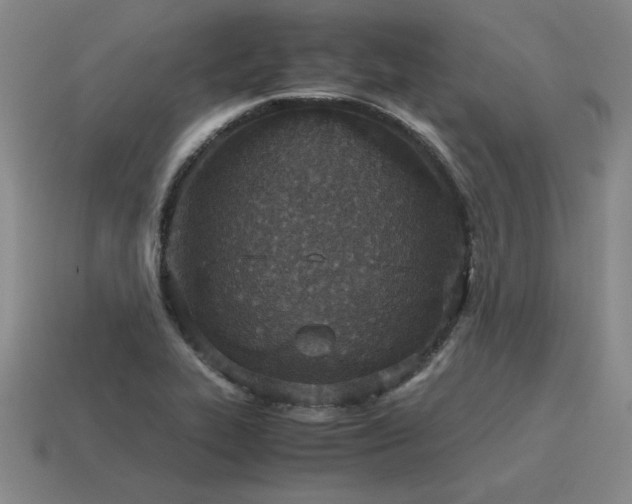 X0000115601319200911101357