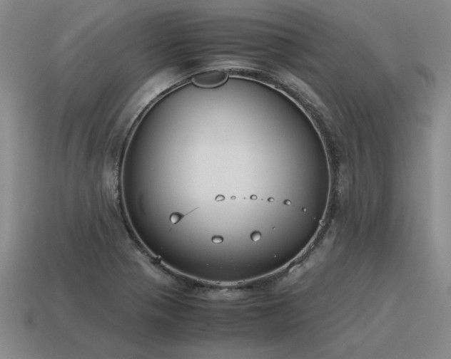 X0000115601321200911101357