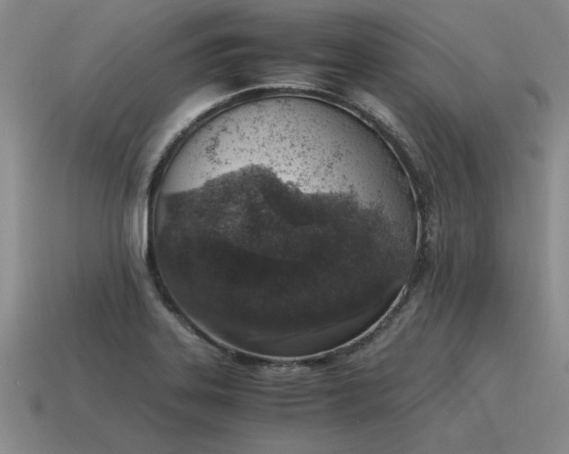 X0000115601323200911101357