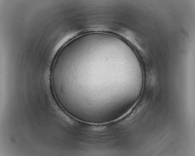 X0000115601325200911101357