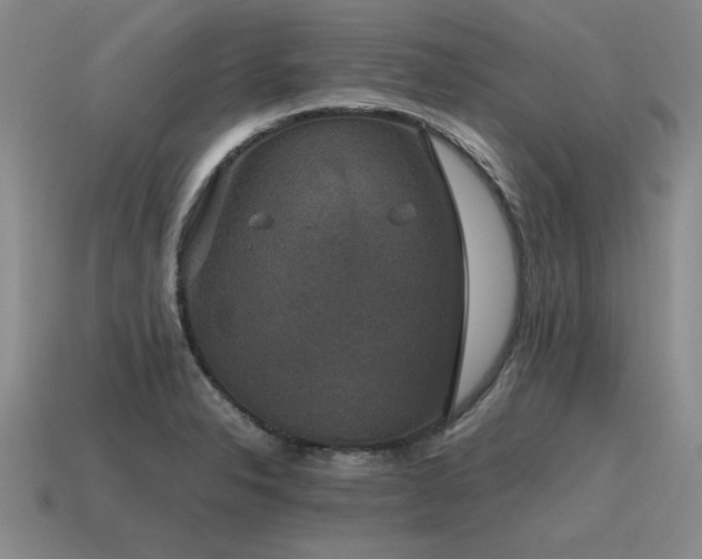 X0000115601326200911101357