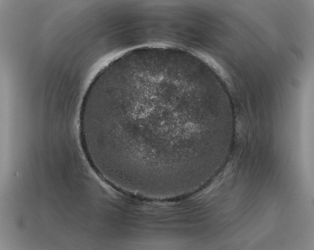 X0000115601327200911101357