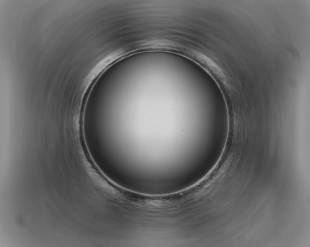 X0000115601330200911101357