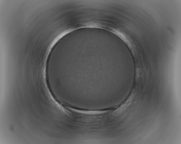 X0000115601331200911101357