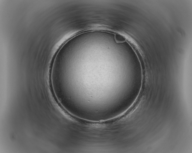 X0000115601333200911101357