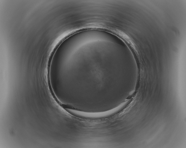 X0000115601334200911101357