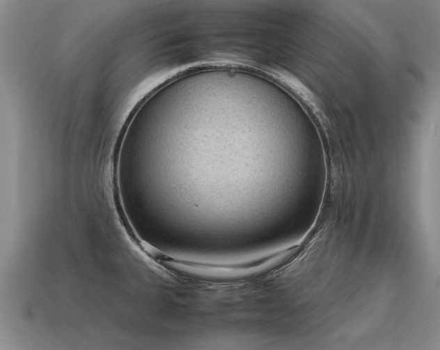 X0000115601335200911101357